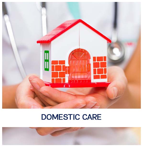 Domestic-care